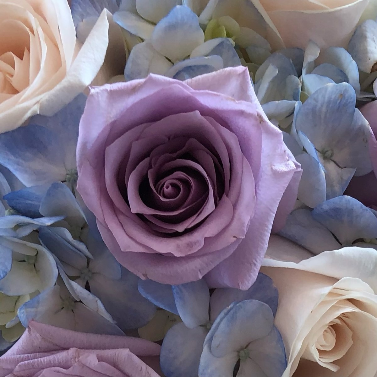 Worth Comes In All Different&nbsp;Sizes:￼